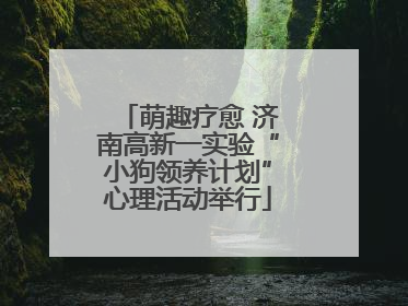 萌趣疗愈 济南高新一实验“小狗领养计划”心理活动举行