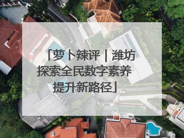 萝卜辣评｜潍坊探索全民数字素养提升新路径