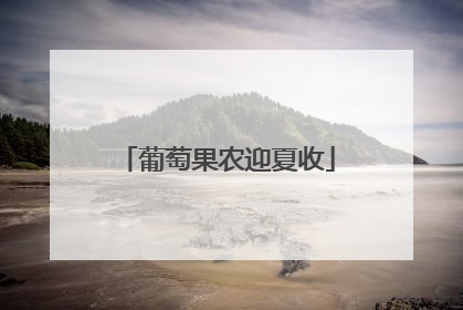 葡萄果农迎夏收