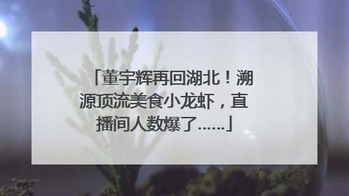 董宇辉再回湖北！溯源顶流美食小龙虾，直播间人数爆了……