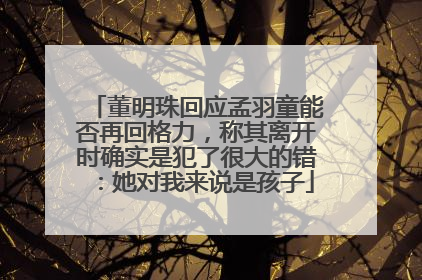 董明珠回应孟羽童能否再回格力，称其离开时确实是犯了很大的错：她对我来说是孩子