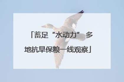 蓄足“水动力” 多地抗旱保粮一线观察