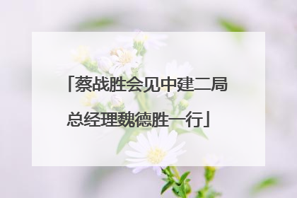 蔡战胜会见中建二局总经理魏德胜一行