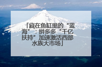 藏在鱼缸里的“蓝海”：拼多多“千亿扶持”加速激活西部水族大市场