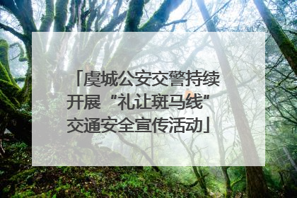 虞城公安交警持续开展“礼让斑马线”交通安全宣传活动