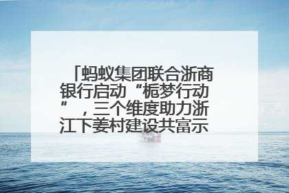 蚂蚁集团联合浙商银行启动“栀梦行动”，三个维度助力浙江下姜村建设共富示范区示范点