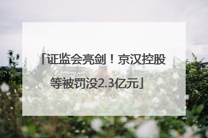 证监会亮剑！京汉控股等被罚没2.3亿元
