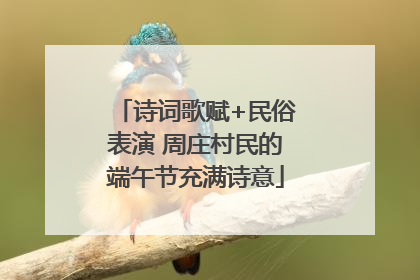 诗词歌赋+民俗表演 周庄村民的端午节充满诗意
