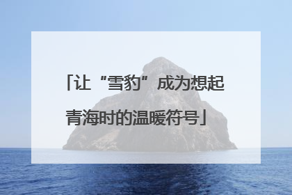 让“雪豹”成为想起青海时的温暖符号