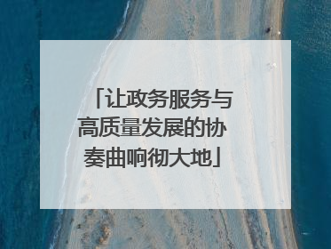 让政务服务与高质量发展的协奏曲响彻大地