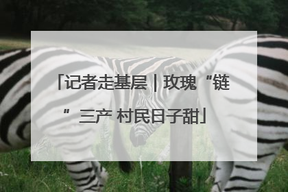 记者走基层｜玫瑰“链”三产 村民日子甜