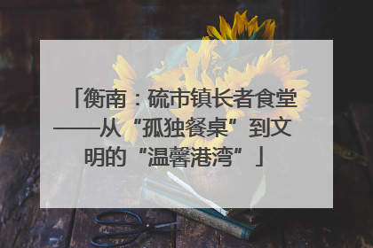 衡南：硫市镇长者食堂——从“孤独餐桌”到文明的“温馨港湾”