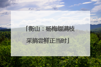 衡山：杨梅缀满枝 采摘尝鲜正当时