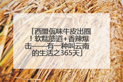 西盟佤味牛皮出圈！软糯筋道+香辣爆击——有一种叫云南的生活之365天
