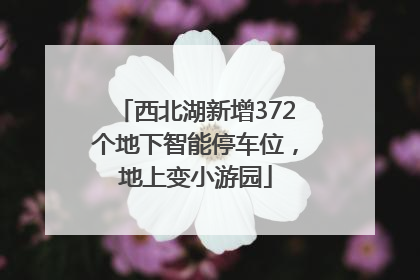 西北湖新增372个地下智能停车位，地上变小游园