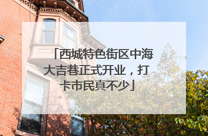 西城特色街区中海大吉巷正式开业，打卡市民真不少
