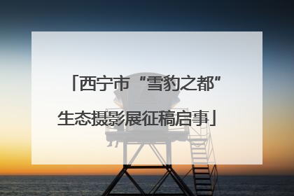 西宁市“雪豹之都”生态摄影展征稿启事