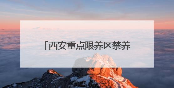 西安重点限养区禁养金毛萨摩耶等，禁养未必不是一种保护