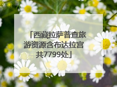 西藏拉萨普查旅游资源含布达拉宫共7799处