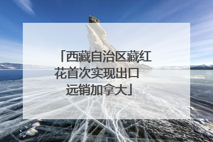 西藏自治区藏红花首次实现出口 远销加拿大