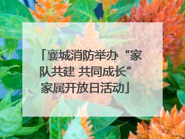 襄城消防举办“家队共建 共同成长”家属开放日活动
