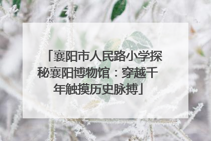 襄阳市人民路小学探秘襄阳博物馆：穿越千年触摸历史脉搏