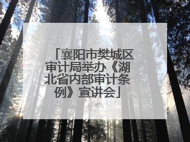 襄阳市樊城区审计局举办《湖北省内部审计条例》宣讲会