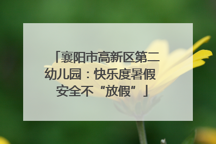 襄阳市高新区第二幼儿园：快乐度暑假 安全不“放假”