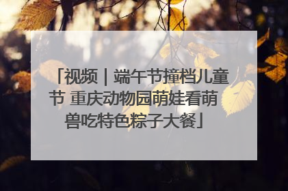 视频｜端午节撞档儿童节 重庆动物园萌娃看萌兽吃特色粽子大餐