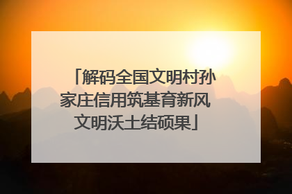 解码全国文明村孙家庄信用筑基育新风文明沃土结硕果