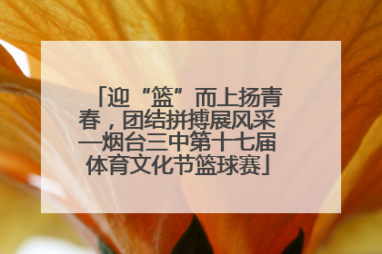 迎“篮”而上扬青春，团结拼搏展风采—烟台三中第十七届体育文化节篮球赛