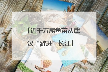 近千万尾鱼苗从武汉“游进”长江