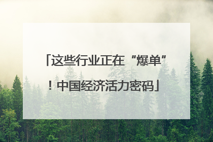这些行业正在“爆单”！中国经济活力密码