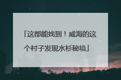 这都能找到！威海的这个村子发现水杉秘境