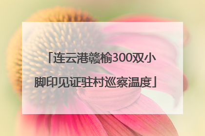 连云港赣榆300双小脚印见证驻村巡察温度