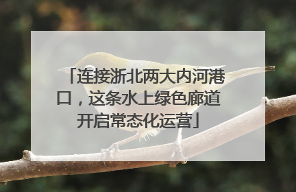 连接浙北两大内河港口，这条水上绿色廊道开启常态化运营