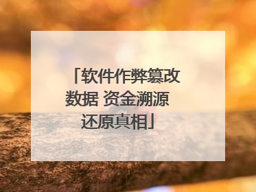 软件作弊篡改数据 资金溯源还原真相
