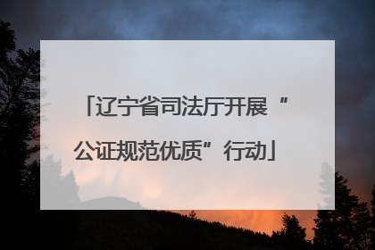 辽宁省司法厅开展“公证规范优质”行动