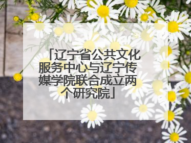 辽宁省公共文化服务中心与辽宁传媒学院联合成立两个研究院