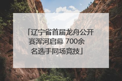 辽宁省首届龙舟公开赛浑河启幕 700余名选手同场竞技