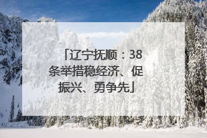 辽宁抚顺：38条举措稳经济、促振兴、勇争先