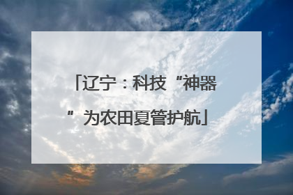 辽宁：科技“神器”为农田夏管护航
