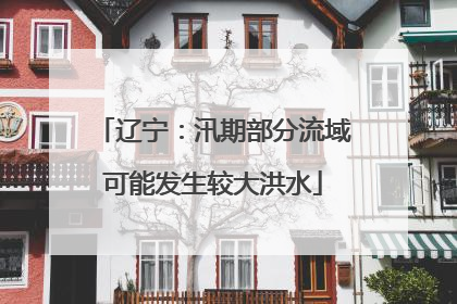 辽宁：汛期部分流域可能发生较大洪水