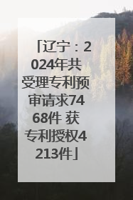 辽宁：2024年共受理专利预审请求7468件 获专利授权4213件