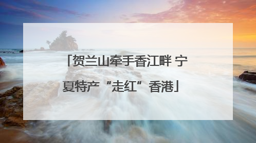 贺兰山牵手香江畔 宁夏特产“走红”香港