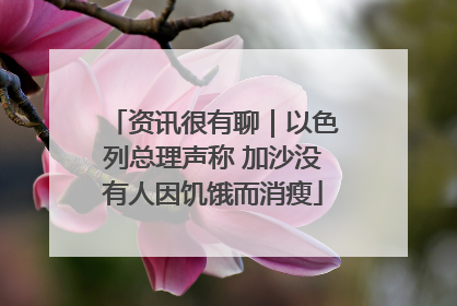 资讯很有聊｜以色列总理声称 加沙没有人因饥饿而消瘦