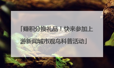 赚积分换礼品！快来参加上游新闻城市观鸟科普活动