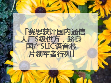 赛思获评国内通信大厂S级供方，跻身国产SLIC语音芯片领军者行列