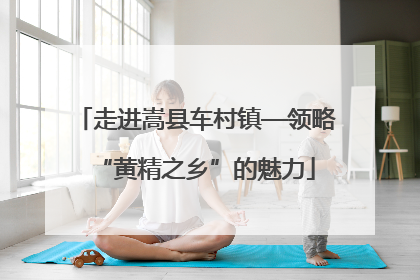 走进嵩县车村镇—领略“黄精之乡”的魅力