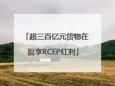 超三百亿元货物在厦享RCEP红利